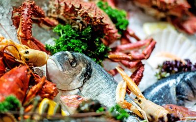 Fischgenuss am Bodensee: Das Fischbuffet im Restaurant Mövenblick Fußach