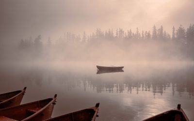 Aktuelle Information: Geänderte Öffnungszeiten im Mövenblick